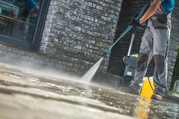 Best Spring Cleaning  in St Anne, IL