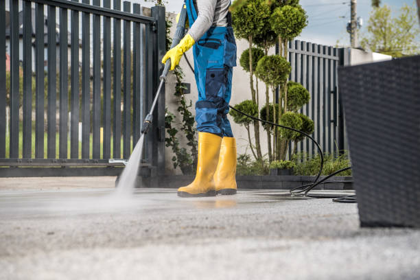 Animal Enclosure Cleaning in St Anne, IL