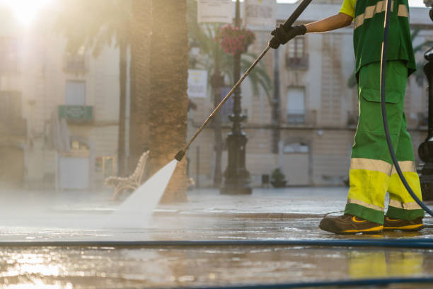 Best Driveway Pressure Washing  in St Anne, IL